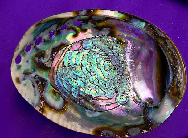 mother-of-pearl-photo-from-creativie-commons-flickr