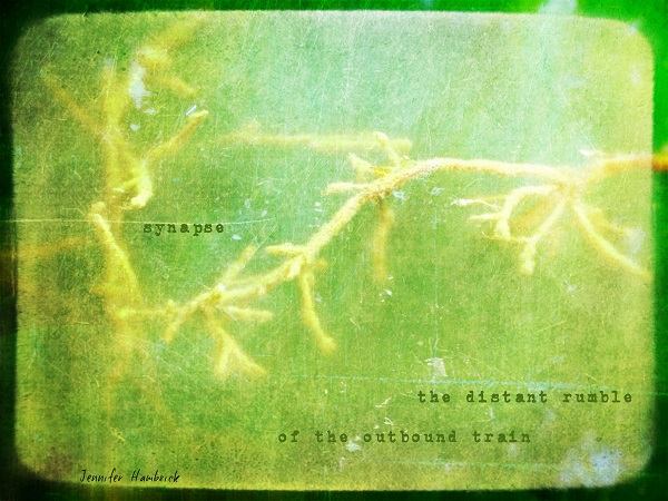 Hambrick - synapse ACCEPTED FOR PUB IN DAILY HAIGA