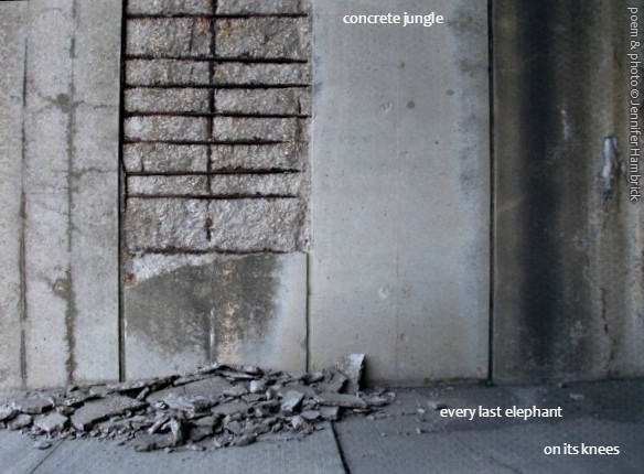 Hambrick - concrete jungle2