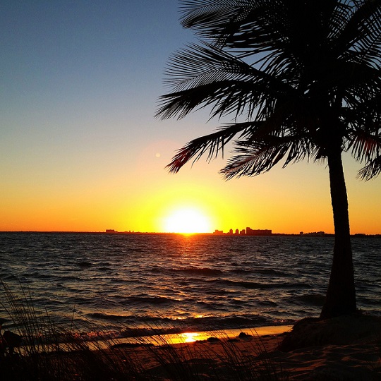 Ines Hegedus-Garcia - another Miami sunset