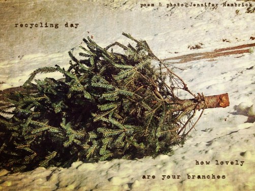 Hambrick - recycling day