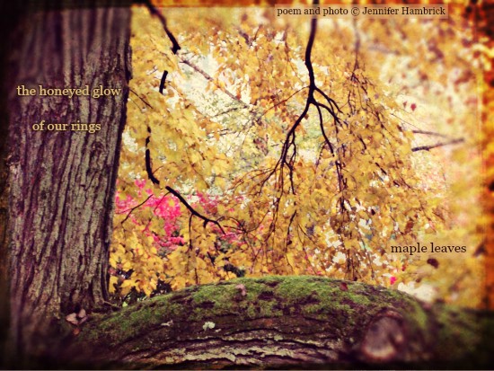 Hambrick - the honeyed glow 72 dpi